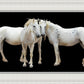 Three White Horses