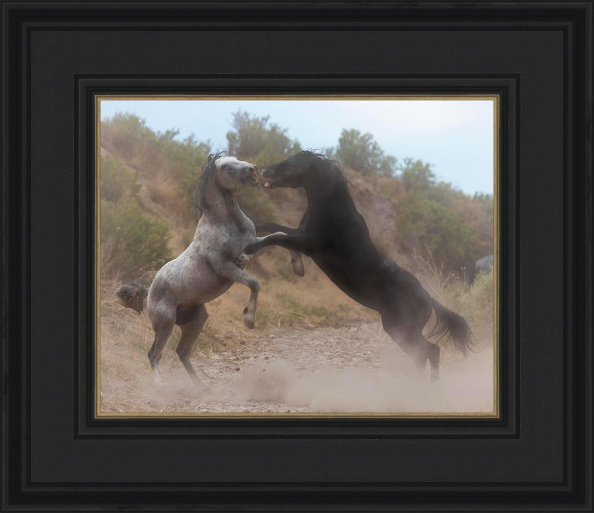 Fight In The Wash