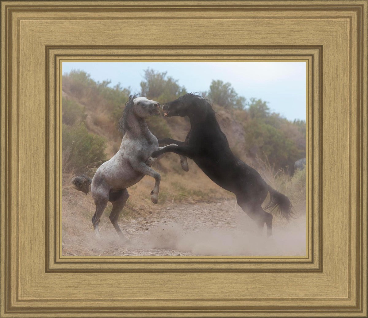 Fight In The Wash
