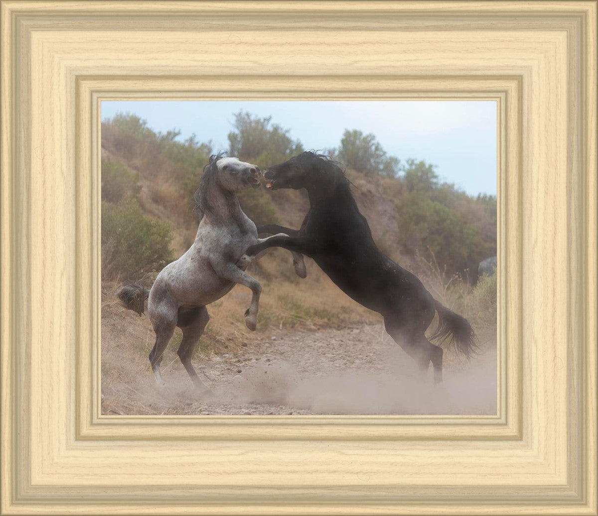 Fight In The Wash