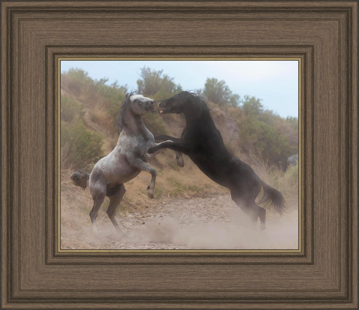Fight In The Wash