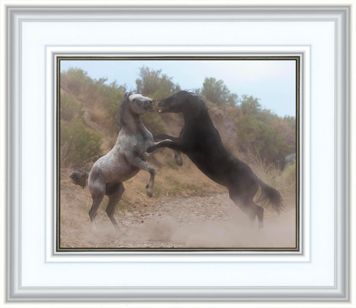 Fight In The Wash