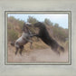 Fight In The Wash