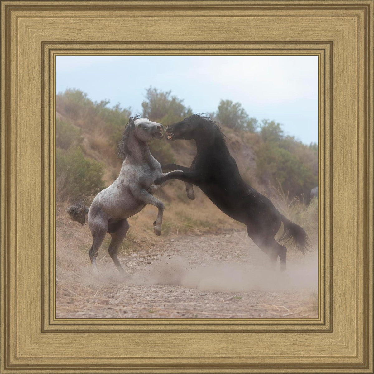 Fight In The Wash