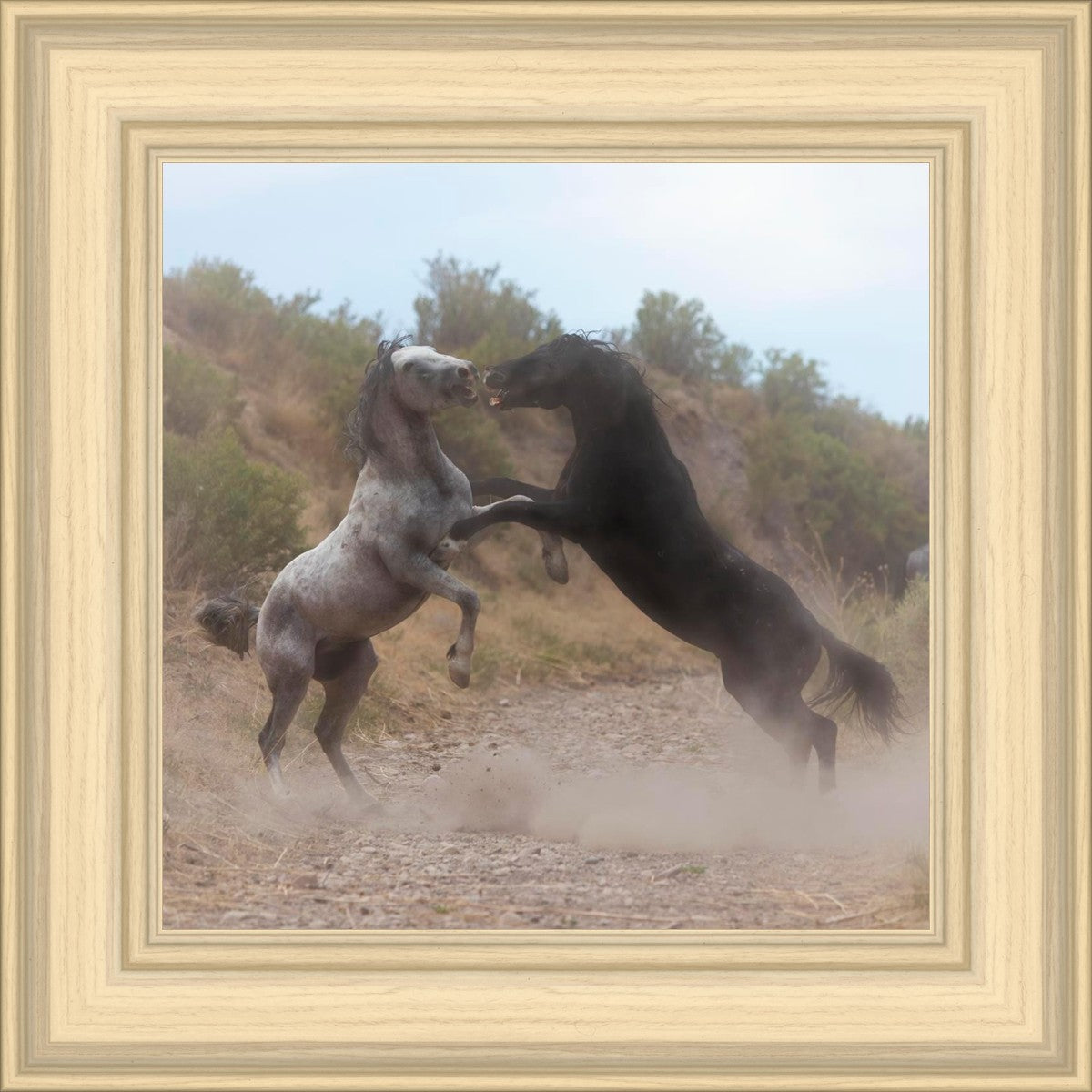 Fight In The Wash