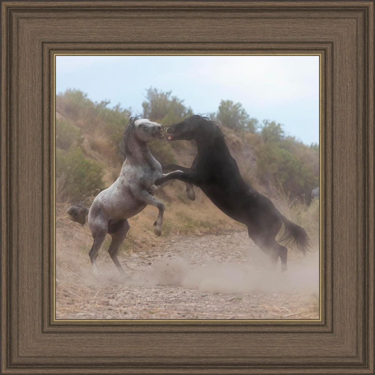Fight In The Wash