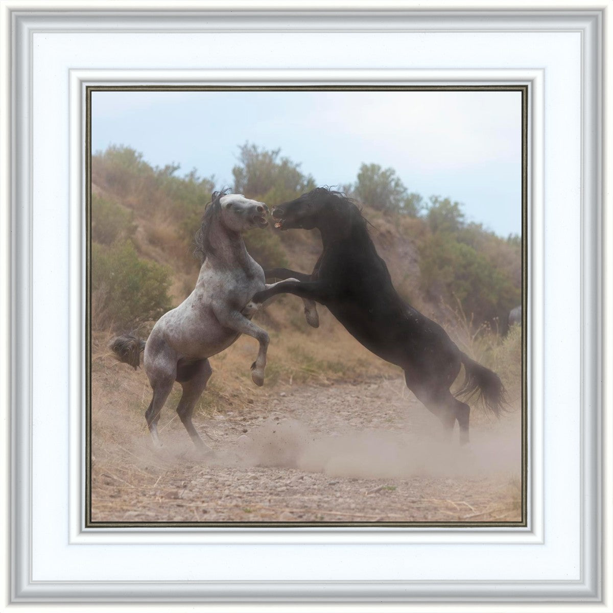 Fight In The Wash