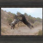 Fight In The Wash