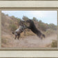 Fight In The Wash