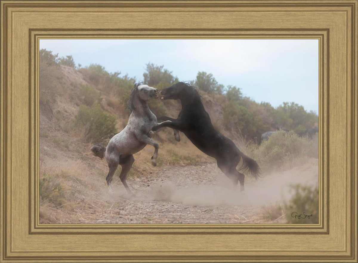 Fight In The Wash