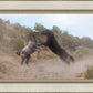 Fight In The Wash