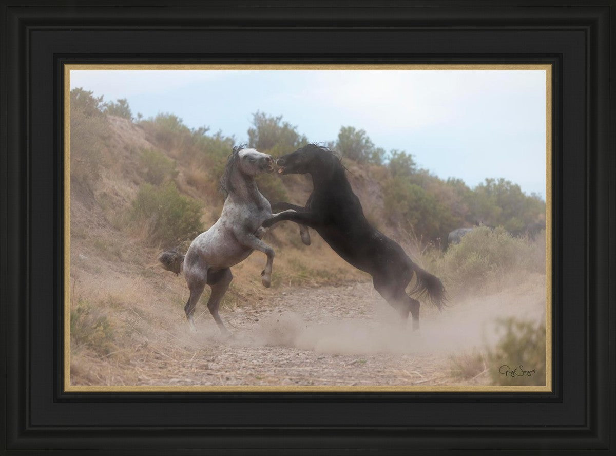 Fight In The Wash