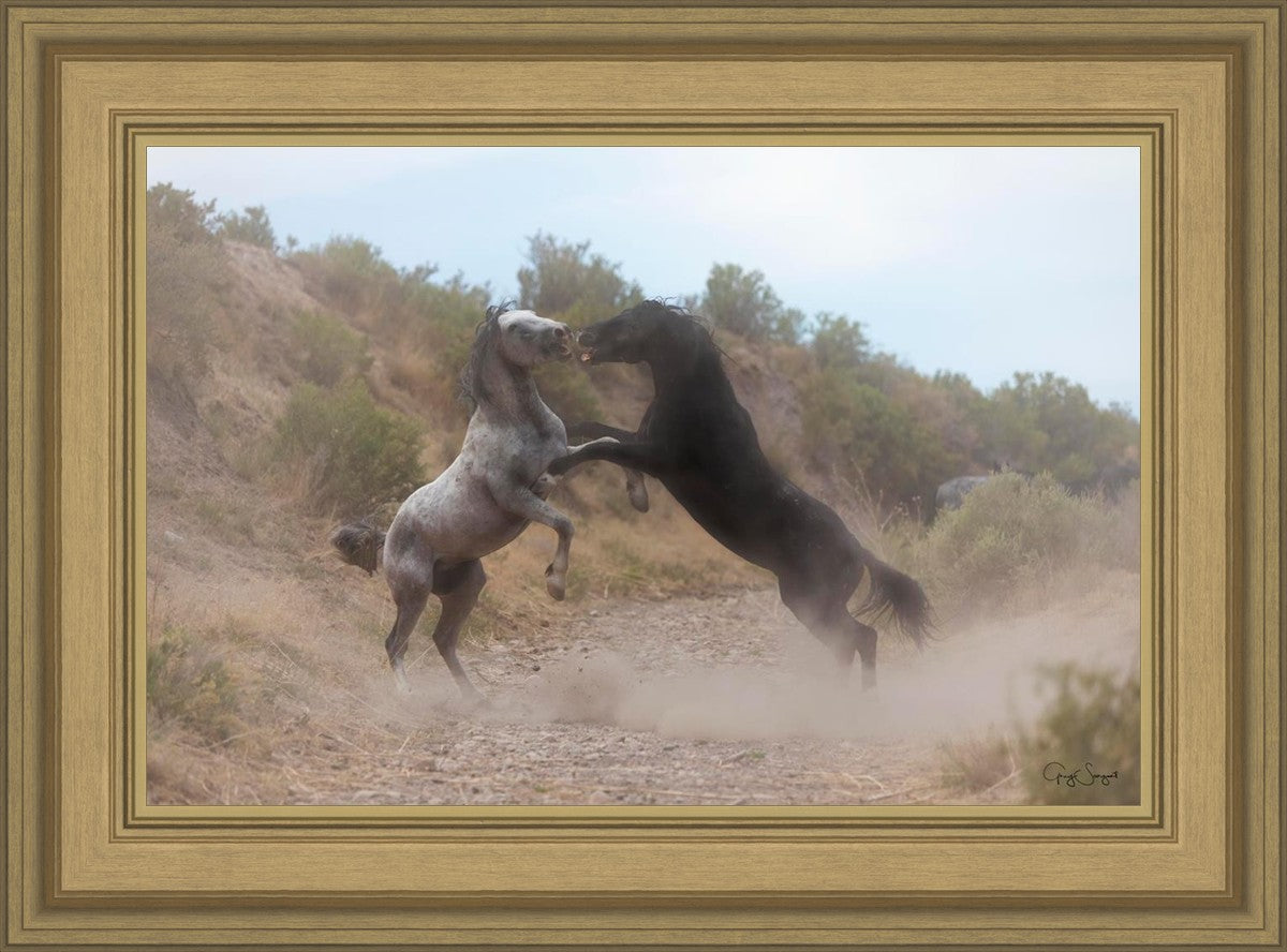 Fight In The Wash