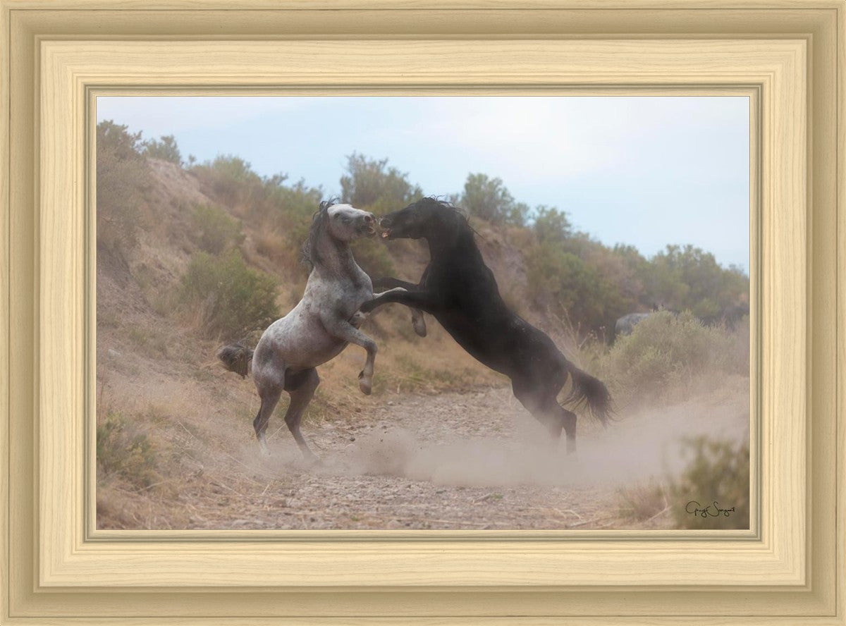 Fight In The Wash