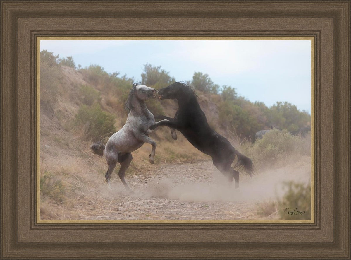Fight In The Wash