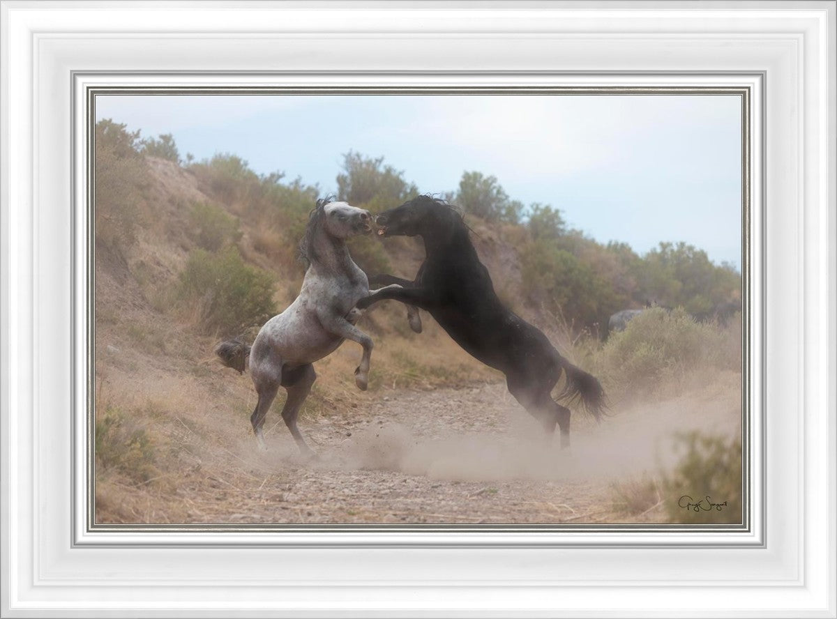 Fight In The Wash