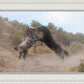 Fight In The Wash