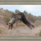 Fight In The Wash