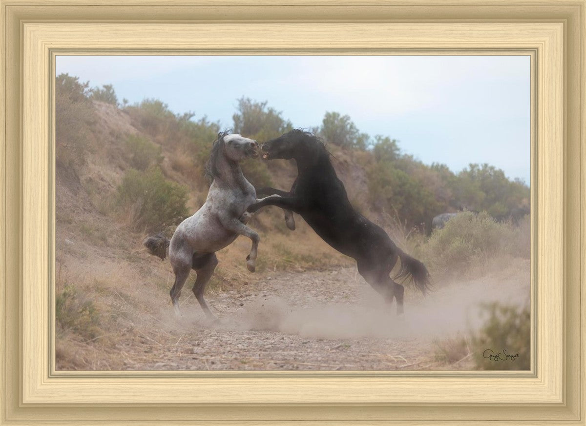 Fight In The Wash