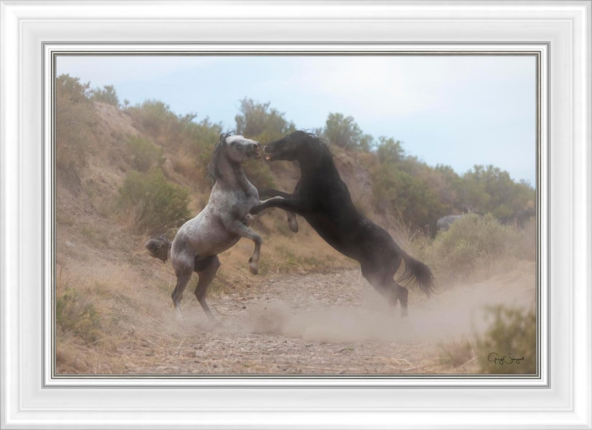 Fight In The Wash