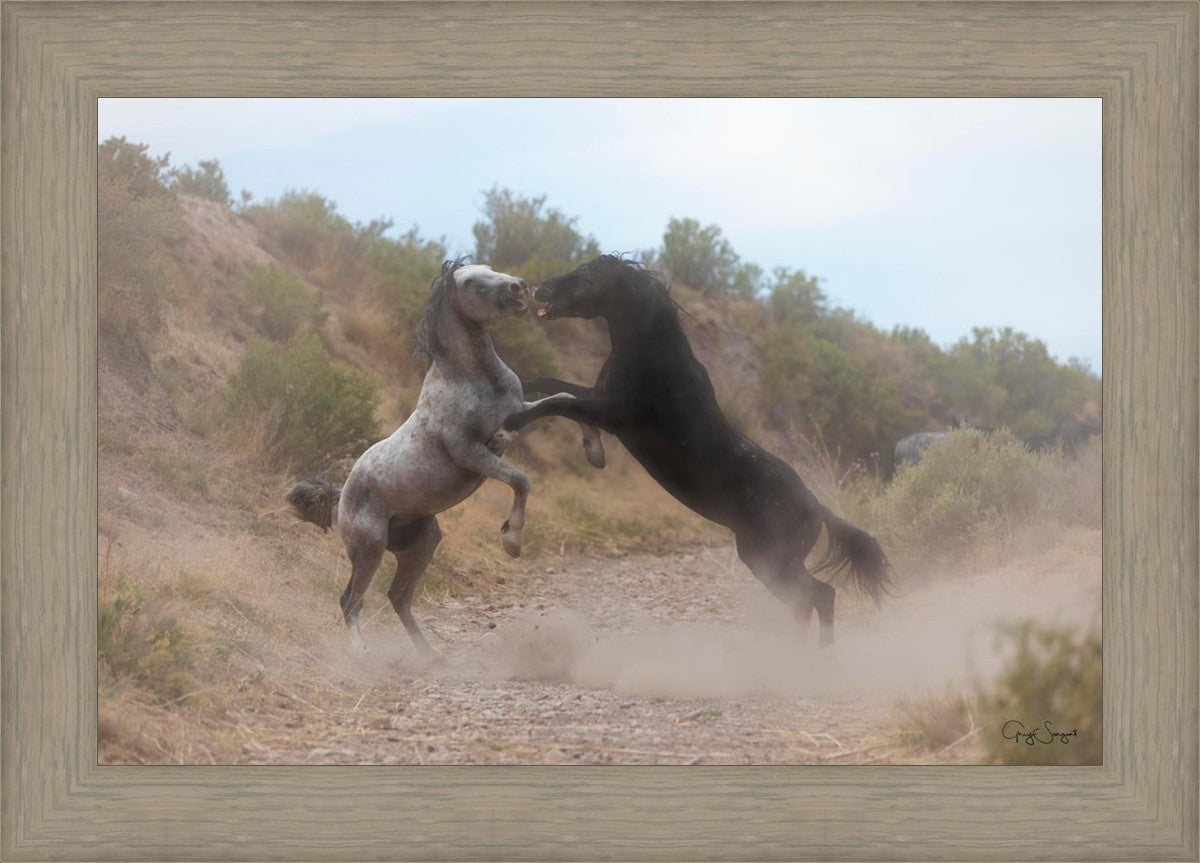 Fight In The Wash