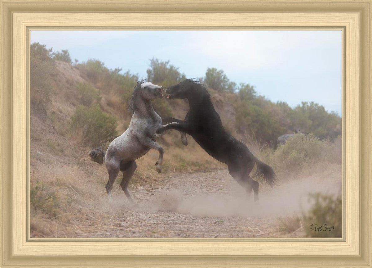 Fight In The Wash