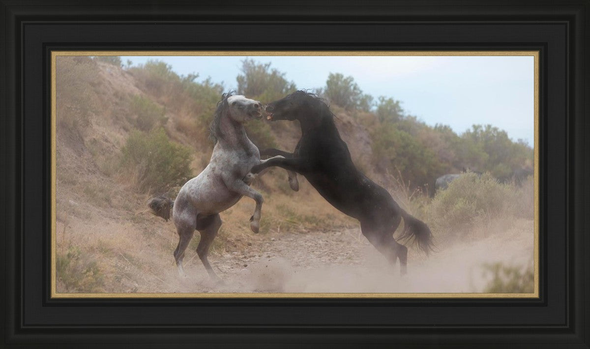 Fight In The Wash