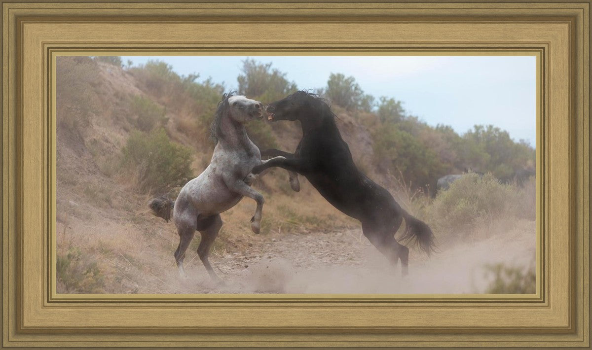 Fight In The Wash