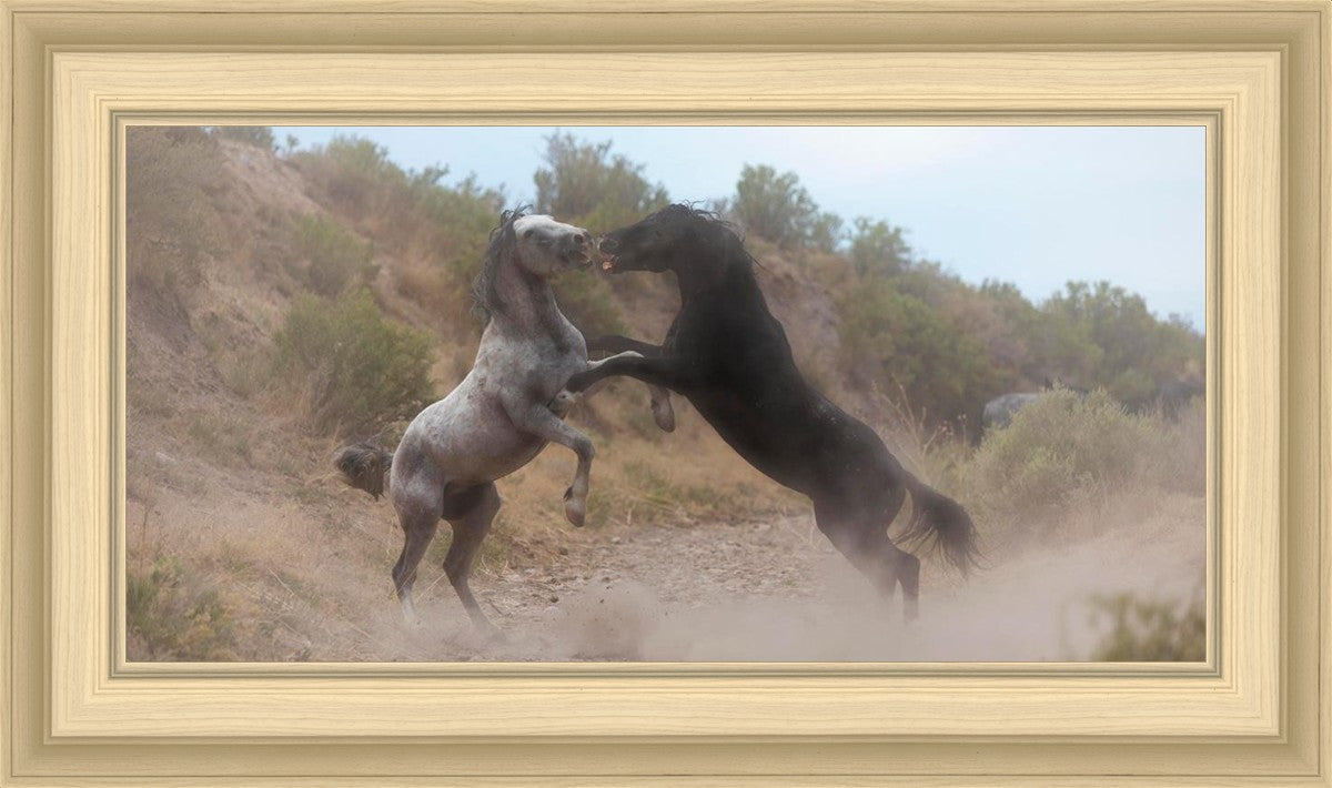 Fight In The Wash