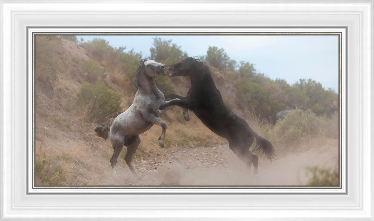 Fight In The Wash