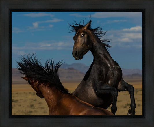 Winner Takes All Gallery Wrap