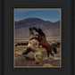 Desert Duel 1