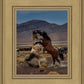 Desert Duel 1
