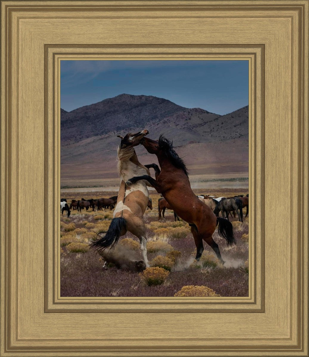 Desert Duel 1