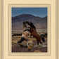 Desert Duel 1