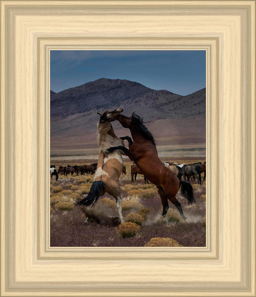 Desert Duel 1