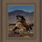 Desert Duel 1