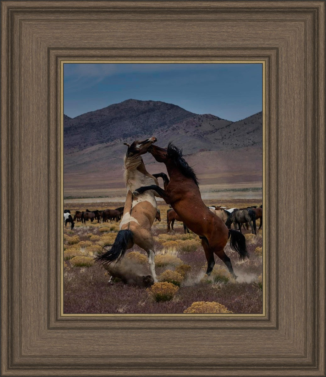 Desert Duel 1