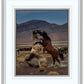 Desert Duel 1