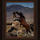 Desert Duel 1