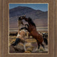 Desert Duel 1