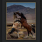 Desert Duel 1