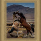 Desert Duel 1