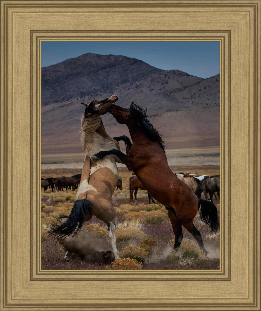 Desert Duel 1