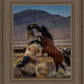 Desert Duel 1