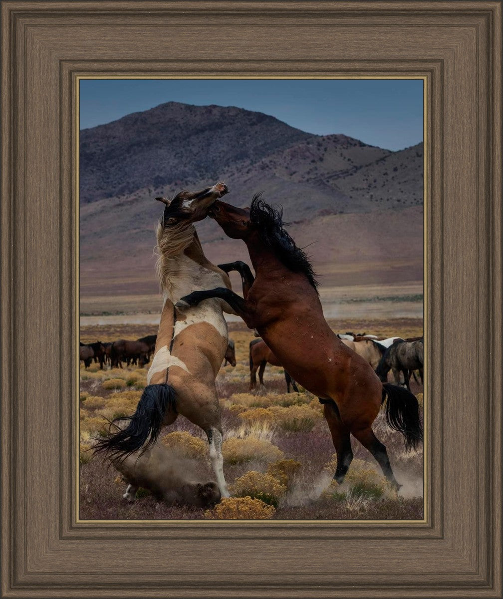 Desert Duel 1