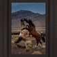 Desert Duel 1