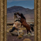 Desert Duel 1