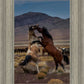 Desert Duel 1