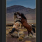 Desert Duel 1
